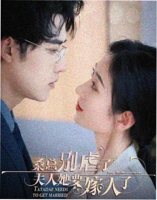 免费观看电视剧连续剧大全 信号重启
